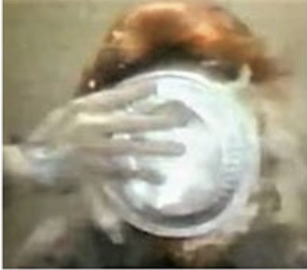 Anita Bryant with a pie in the face