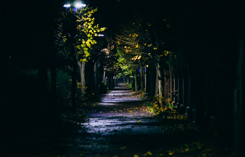 Garden at night