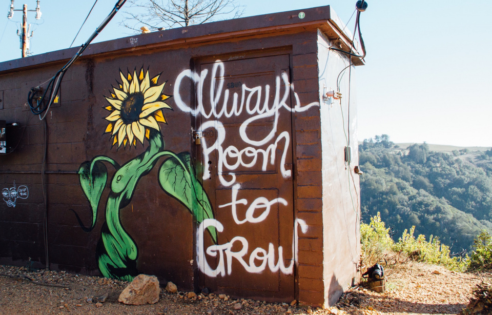 building painted with text that says "always room to grow"