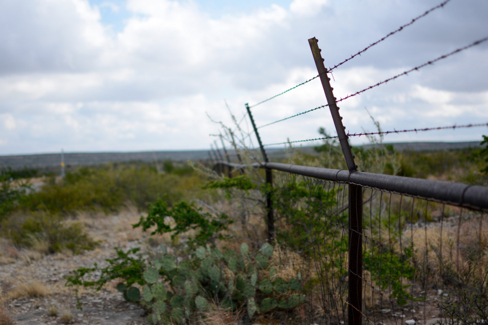 barbwire fence