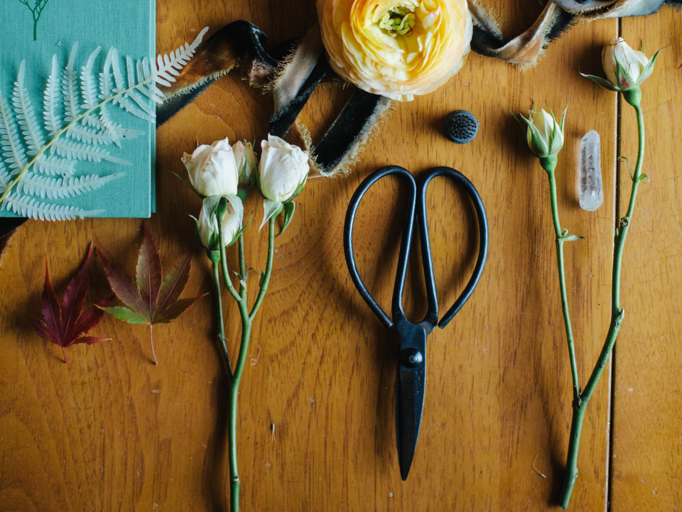Flowers and a pair of scissors