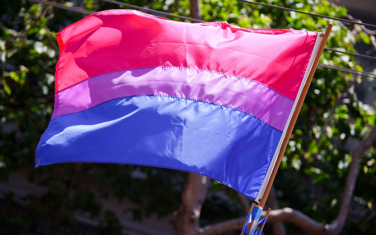 A picture of the Bisexuality Flag, with its colors pink, purple, and blue.